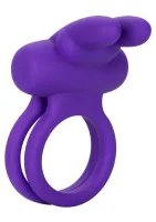 Vylepšovač Rockin' Rabbit — obrázok 1