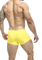 Klasický boxer — obrázok 16