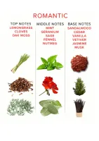 Feromónový prípravok Attract Her 10 ml — obrázok 10