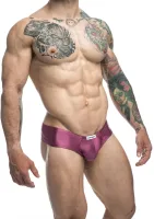 Bikiny s lícnicou — obrázok 11