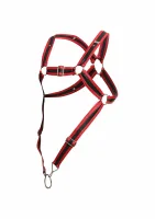 Postroj na erekciu DNGEON Cross — obrázok 8