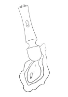 Presto Wand — obrázok 11
