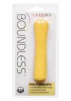 Boundless Mini Flexiwan — obrázok 3