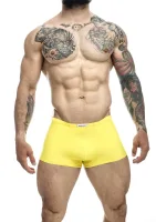 Klasický boxer — obrázok 18