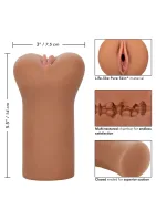 Bezhraničná vulva — obrázok 11