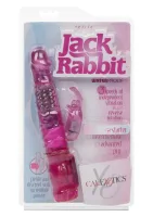 Drobný králik Jack — obrázok 3