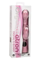 Orgasmatron Digital G-Bunny — obrázok 3