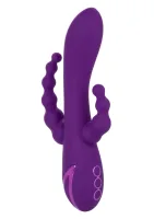 Long Beach Bootylicious — obrázok 1