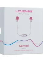 Gemini — obrázok 3