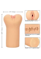 Bezhraničná vulva — obrázok 4