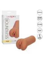 Bezhraničná vulva — obrázok 12
