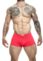 Klasický boxer — obrázok 12