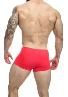 Klasický boxer — obrázok 9