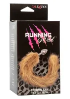 Bežiaci divoký chvost — obrázok 3