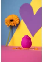 Rose — obrázok 9