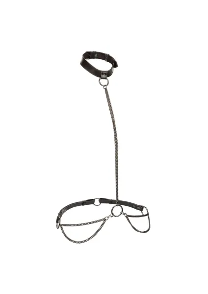 Chain Halter & Collar Plus