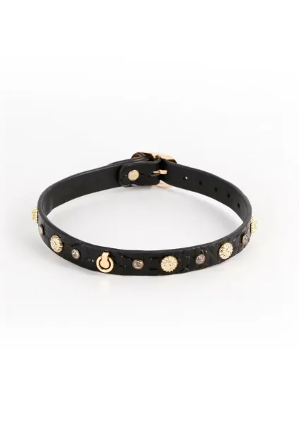 Alina Collar